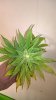 WP_20160308_00_21_17_Pro.jpg