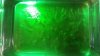 12804255_1233146556700344_1735968055_n.jpg