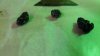 12804206_1233146490033684_139310834_n.jpg