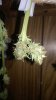 WP_20160309_003.jpg