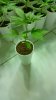 20160309_151146.jpg