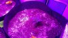 20160309_110810.jpg
