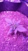 20160311_090117.jpg