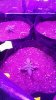 20160311_090105.jpg