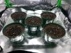 20160305_220047.jpg