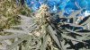 20160312_095545.jpg