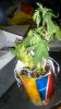20160312_094332.jpg