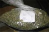1 pound Sour Diesel.jpg
