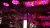 20160302_190927.jpg