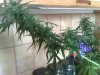 06022009013.jpg