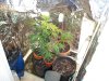 DSC02415.jpg