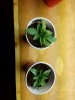 20160313_120956.jpg