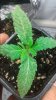 20160313_230840.jpg