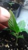 20160313_230857.jpg