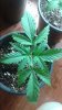 20160313_232234.jpg
