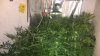 WP_20160314_008.jpg