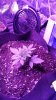 20160314_111135.jpg