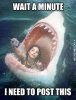shark post.jpeg