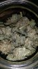 20160312_042832.jpg