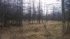 20160315_150006.jpg 20160315_150006.jpg