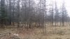20160315_150021.jpg 20160315_150021.jpg