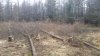 20160315_150747.jpg 20160315_150747.jpg