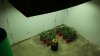 20160206_085333.jpg