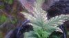20160315_193253.jpg