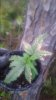 20160315_193244.jpg