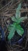 20160315_193656.jpg