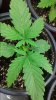 20160313_161519.jpg