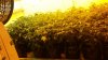 20160317_000258.jpg