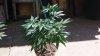 20160317_110658.jpg