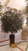 20160317_185041.jpg