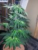 20160318_134915.jpg