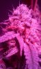 20160321_105325.jpg