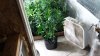 20160321_215323.jpg
