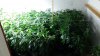 20160321_215519.jpg