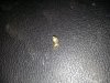 20160322_024552.jpg