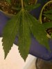 20160323_113337.jpg