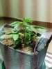 20160323_125946.jpg