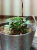 20160323_130128.jpg