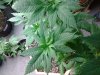 20160323_070748.jpg