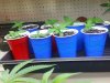 20160323_123241.jpg