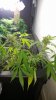 20160324_020257.jpg
