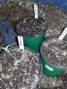 20160323_100158.jpg