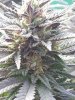 20160323_100129.jpg