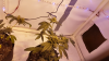 Screenshot_2016-03-24-12-23-10.png