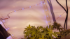 Screenshot_2016-03-24-12-22-08.png