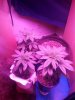 20160325_020316.jpg